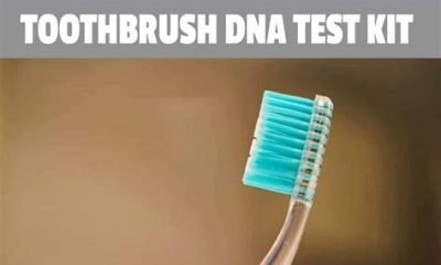 at home paternity test with toothbrush