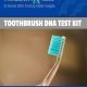 at home paternity test with toothbrush
