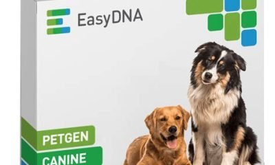 dog dna paternity test