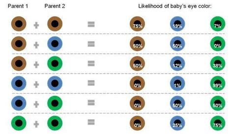 eye color paternity test