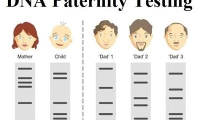 how do you read a paternity test