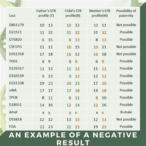 negative paternity test