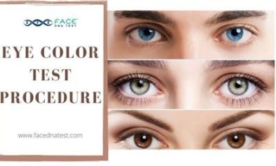 paternity eye color test