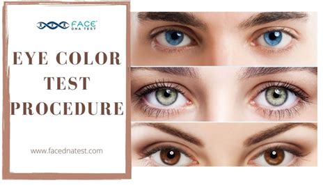 paternity eye color test