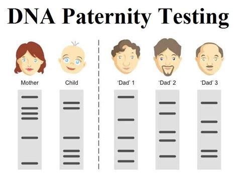 paternity test birmingham