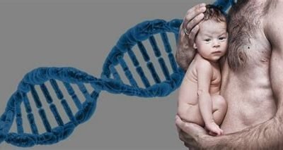 paternity test bronx ny