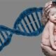 paternity test bronx ny