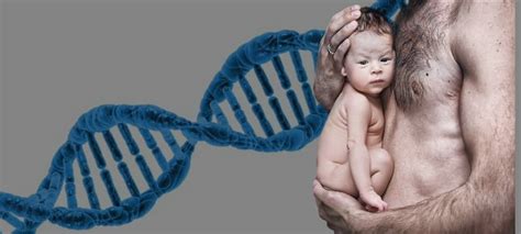 paternity test bronx ny