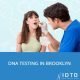 paternity test brooklyn