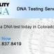 paternity test colorado