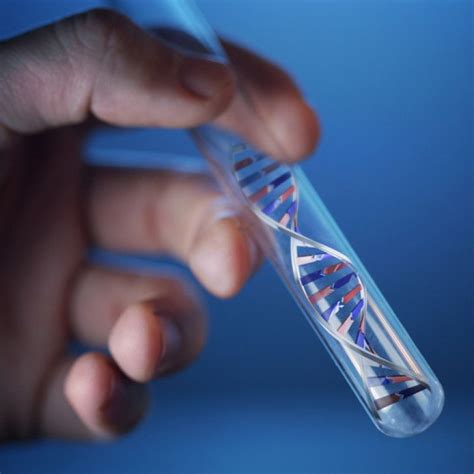 paternity test el paso tx