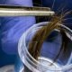 paternity test hair sample