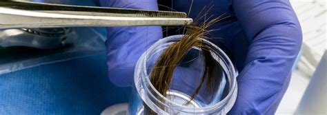 paternity test hair sample