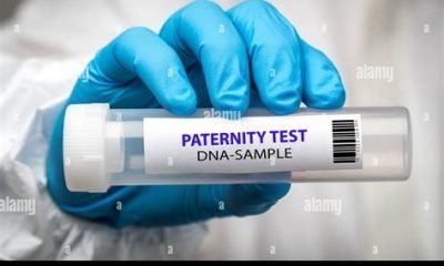 paternity test hawaii