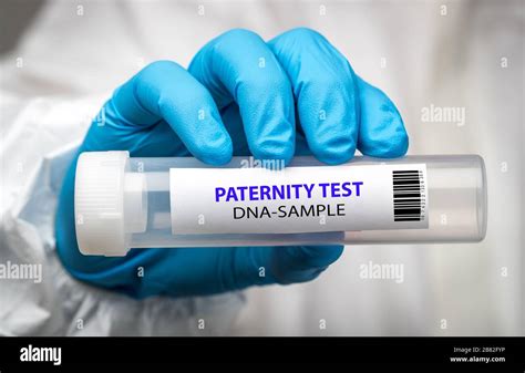 paternity test hawaii