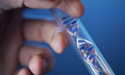 paternity test in el paso tx