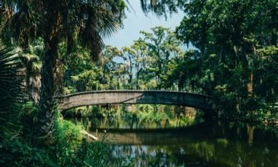 paternity test lafayette la