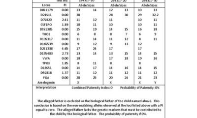 paternity test results template
