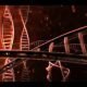 paternity testing longview tx